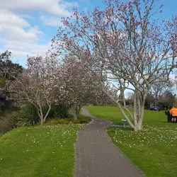 Waikato River Trails - Hamilton