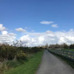 Waikato River Trails - Hamilton