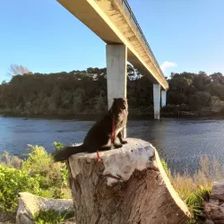 Waikato River Trails - Hamilton