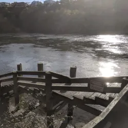 Waikato River Trails - Hamilton