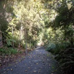 Waikato River Trails - Hamilton