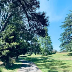 Waikato River Trails - Hamilton