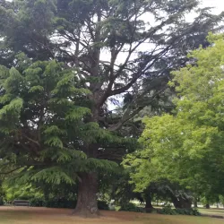 Cornwall Park - Hastings