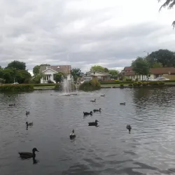 Cornwall Park - Hastings