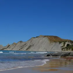 Gannet Beach Adventures - Hastings