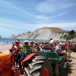 Gannet Beach Adventures - Hastings