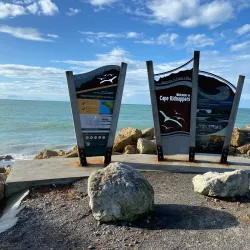 Gannet Beach Adventures - Hastings