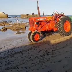 Gannet Beach Adventures - Hastings