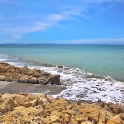 Gannet Beach Adventures - Hastings