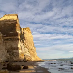 Gannet Beach Adventures - Hastings