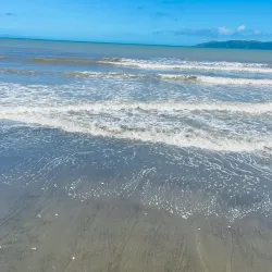 Gannet Beach Adventures - Hastings