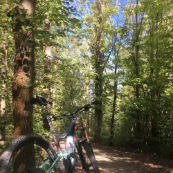 Hawke's Bay Trails - Hastings