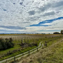 Hawke's Bay Trails - Hastings