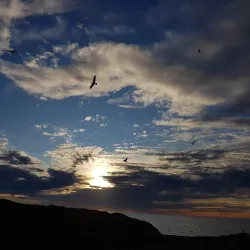 Hawke's Bay Trails - Hastings