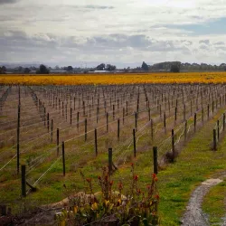 Hawke's Bay Trails - Hastings