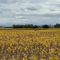 Hawke's Bay Trails - Hastings