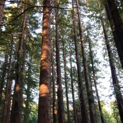 Te Mata Peak - Hastings