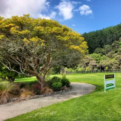 Helensville Golf Club - Helensville