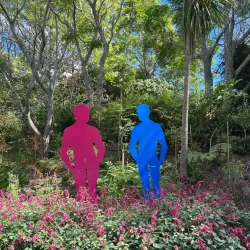 Kaipara Coast Walkway - Helensville