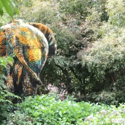 Kaipara Coast Walkway - Helensville