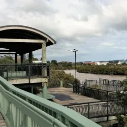 Kaipara Harbour - Helensville