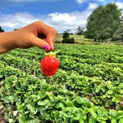 Kaipara Harbour - Helensville