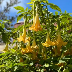 Kaipara Harbour - Helensville