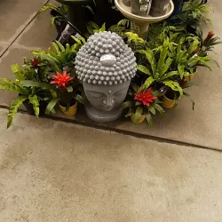 Kaipara Harbour - Helensville