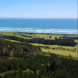 Waimauku Forest - Helensville