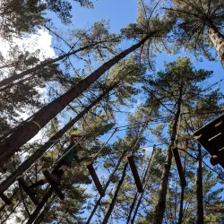 Waimauku Forest - Helensville