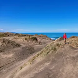 Waimauku Forest - Helensville
