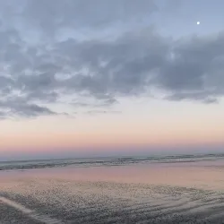 Waimauku Forest - Helensville