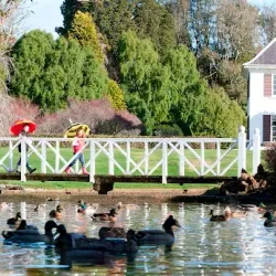 Anderson Park - Invercargill