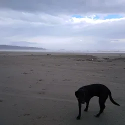 Oreti Beach - Invercargill