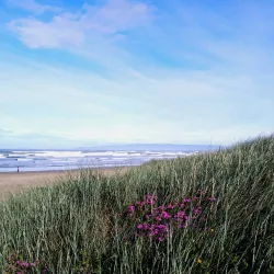 Oreti Beach - Invercargill