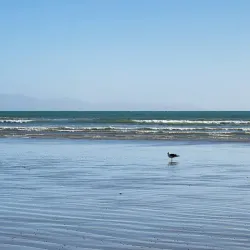Oreti Beach - Invercargill