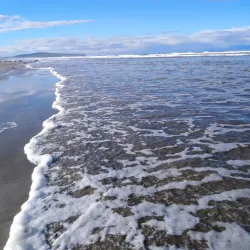 Oreti Beach - Invercargill