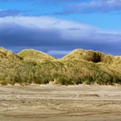Oreti Beach - Invercargill