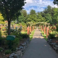 Queens Park - Invercargill