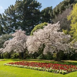 Queens Park - Invercargill