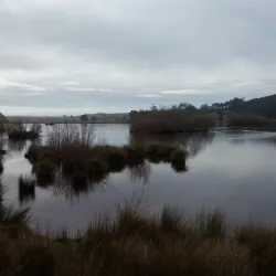 Clutha River - Kaitangata