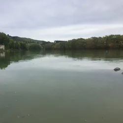 Clutha River - Kaitangata