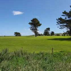 Kaitangata Golf Club - Kaitangata