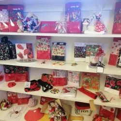 Local Art and Craft Shops - Kaitangata