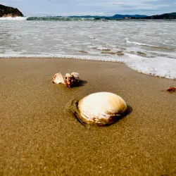 Matau Beach - Kaitangata