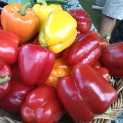 Kerikeri Farmers Market - Kerikeri