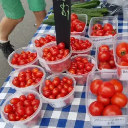 Kerikeri Farmers Market - Kerikeri