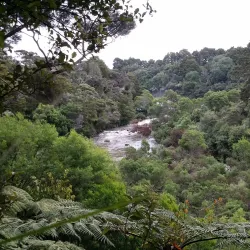 Kerikeri River - Kerikeri