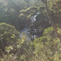 Kerikeri River - Kerikeri