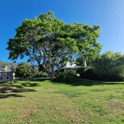 Kororipo Pa Historic Reserve - Kerikeri